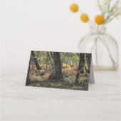 秋の森風景 プレイスカード (裏面)