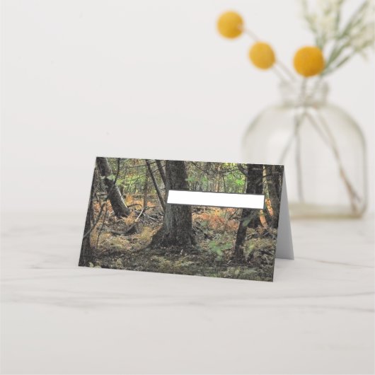 秋の森風景 プレイスカード (正面)