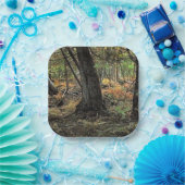 秋の森風景 ペーパープレート (パーティー)