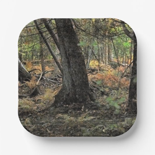 秋の森風景 ペーパープレート (正面)