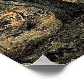 秋の森風景 ポスター (角)