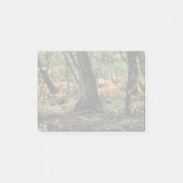 秋の森風景 ポストイット