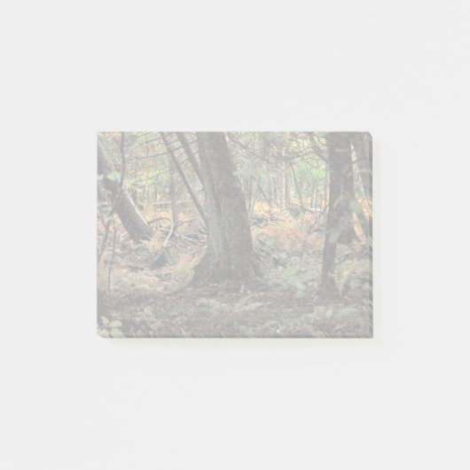 秋の森風景 ポストイット (正面)