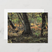 秋の森風景 ポストカード (正面/裏面)