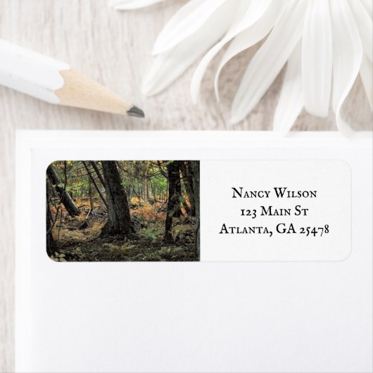 秋の森風景 ラベル (インサイチュ)