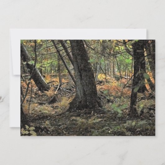 秋の森風景 招待状 (裏面)