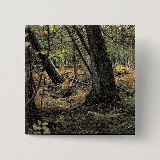 秋の森風景 缶バッジ (正面)