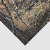 秋の森風景 薄葉紙 (詳細)