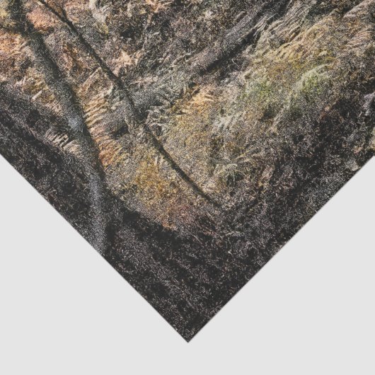 秋の森風景 薄葉紙 (詳細)