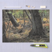 秋の森風景 薄葉紙 (クラフト)