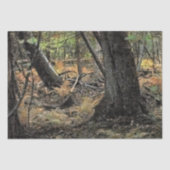 秋の森風景 薄葉紙 (正面)