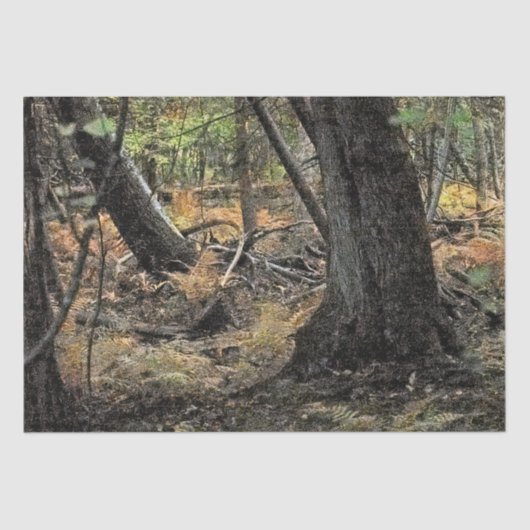 秋の森風景 薄葉紙 (正面)