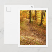 秋の森：クンブリア ポストカード (正面/裏面)