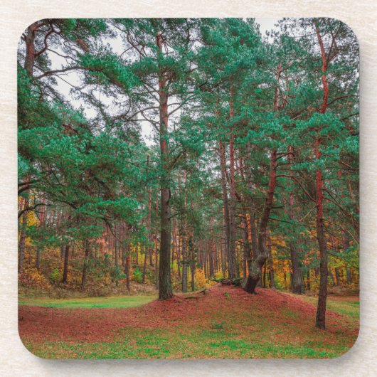 秋の森 コースター (正面)