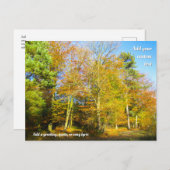 秋の森&サンシャインパーソナライズされた- ポストカード (正面/裏面)