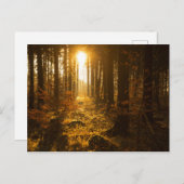 秋の森 |ドイツ,バーデン・ヴュルテンベルク ポストカード (正面/裏面)