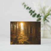 秋の森 |ドイツ,バーデン・ヴュルテンベルク ポストカード (スタンド正面)