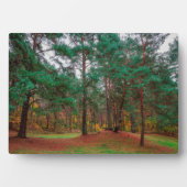 秋の森 フォトプラーク (正面)