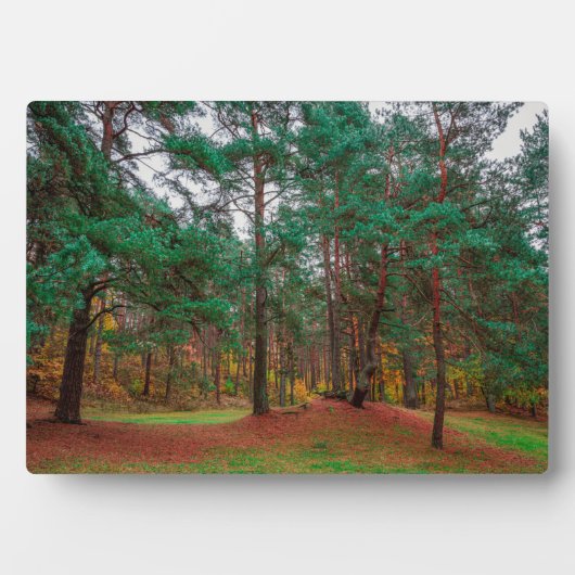 秋の森 フォトプラーク (正面)