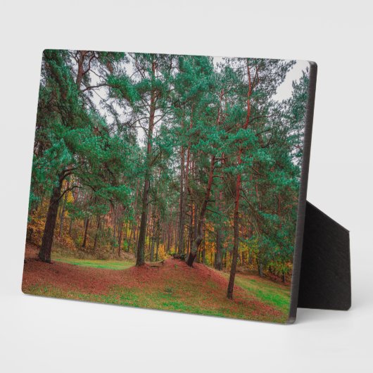 秋の森 フォトプラーク (側面)