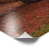 秋の森 フォトプリント            (角)