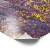 秋の森 フォトプリント            (角)