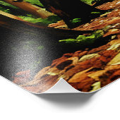 秋の森 フォトプリント            (角)