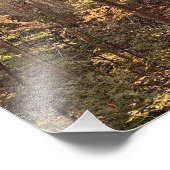 秋の森 フォトプリント            (角)