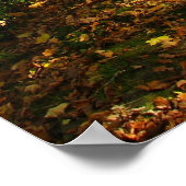 秋の森 ポスター (角)