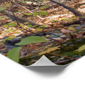 秋の森 ポスター (角)