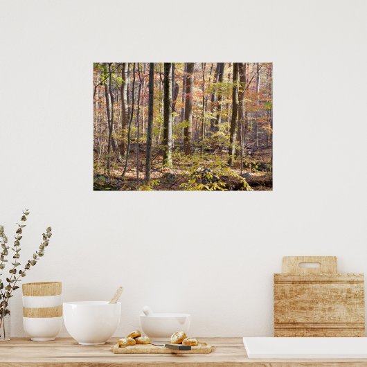 秋の森 ポスター (キッチン)