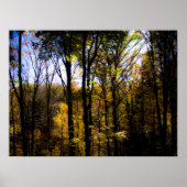 秋の森 ポスター (正面)