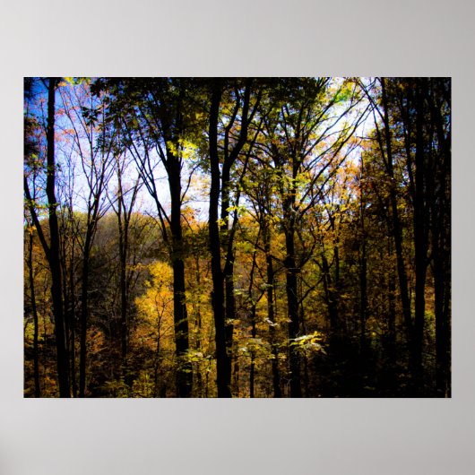 秋の森 ポスター (正面)