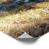 秋の森 ポスター (角)