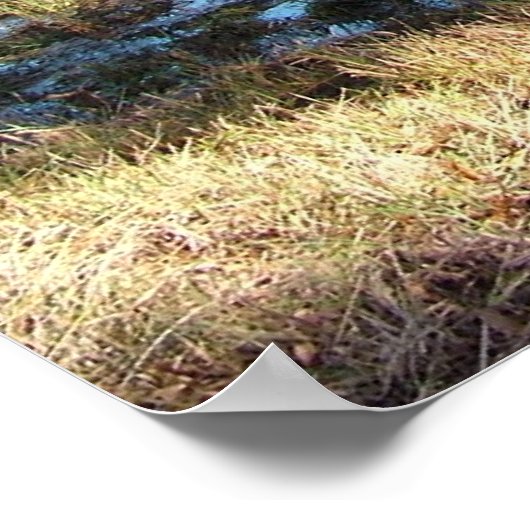 秋の森 ポスター (角)