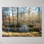 秋の森 ポスター (正面)