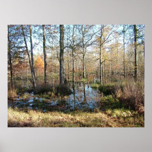 秋の森 ポスター (正面)