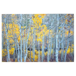 秋の森 メタルプリント