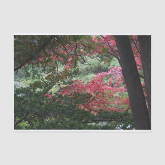 秋の森 薄葉紙 (正面)