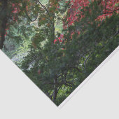 秋の森 薄葉紙 (詳細)