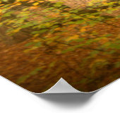 秋の森(4364)ポスター ポスター (角)