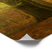 秋の森(4391)ポスター ポスター (角)