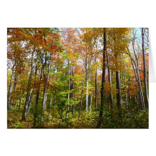 秋の森 I 秋の風景写真 (正面横)