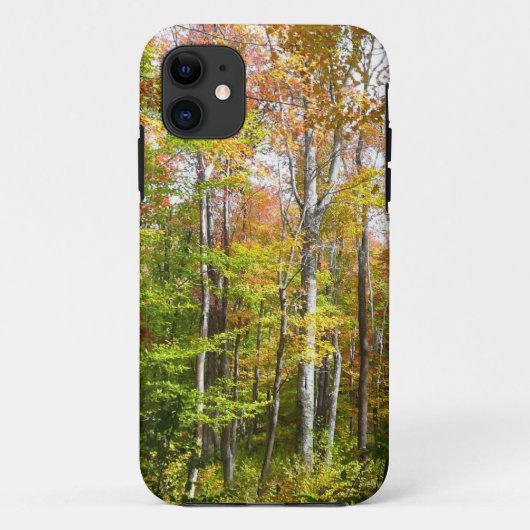秋の森 I 秋の風景写真 Case-Mate iPhoneケース (裏面)