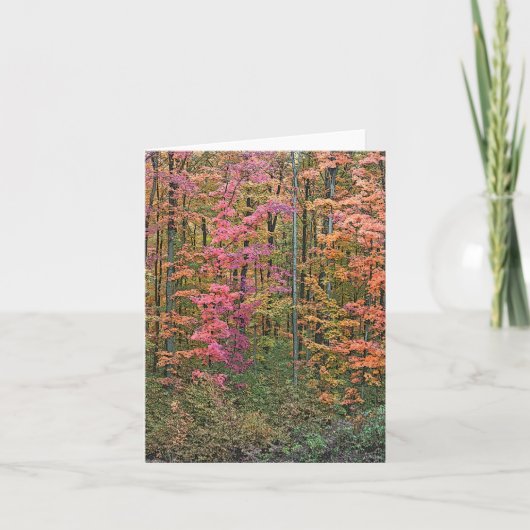 「秋の森」NOTECARD カード (正面)