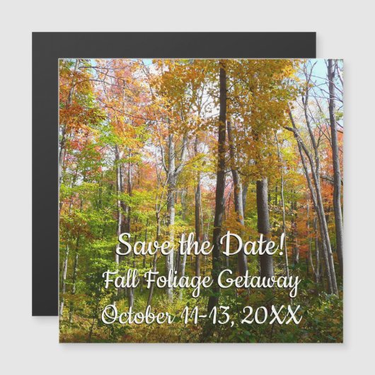 秋の森I秋の風景写真 (正面/裏面)