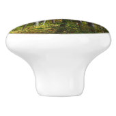 秋の森I秋の風景写真 セラミックノブ (側面)