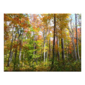 秋の森I秋の風景写真 フォトプリント (正面)