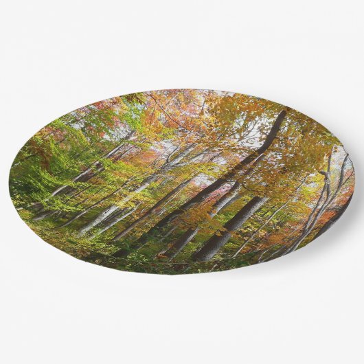 秋の森I秋の風景写真 ペーパープレート (アングル)