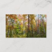 秋の森I秋の風景写真 名刺 (裏面)